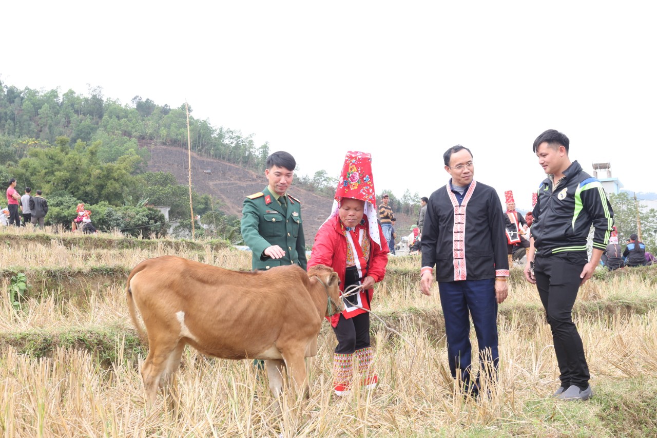 Đồng chí Dương Mạnh Cường, Bí thư huyện ủy Bình Liêu trao bò giống cho các hộ nghèo xã Hoành Mô vào tháng 1/2020.