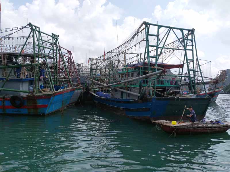 Phương tiện đánh bắt thuỷ sản ngày càng được ngư dân huyện Vân Đồn đầu tư hiện đại. Ảnh chụp ngày 15/1/2020