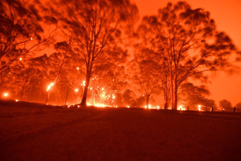 Cháy rừng ở Australia. Ảnh:Gulf news.