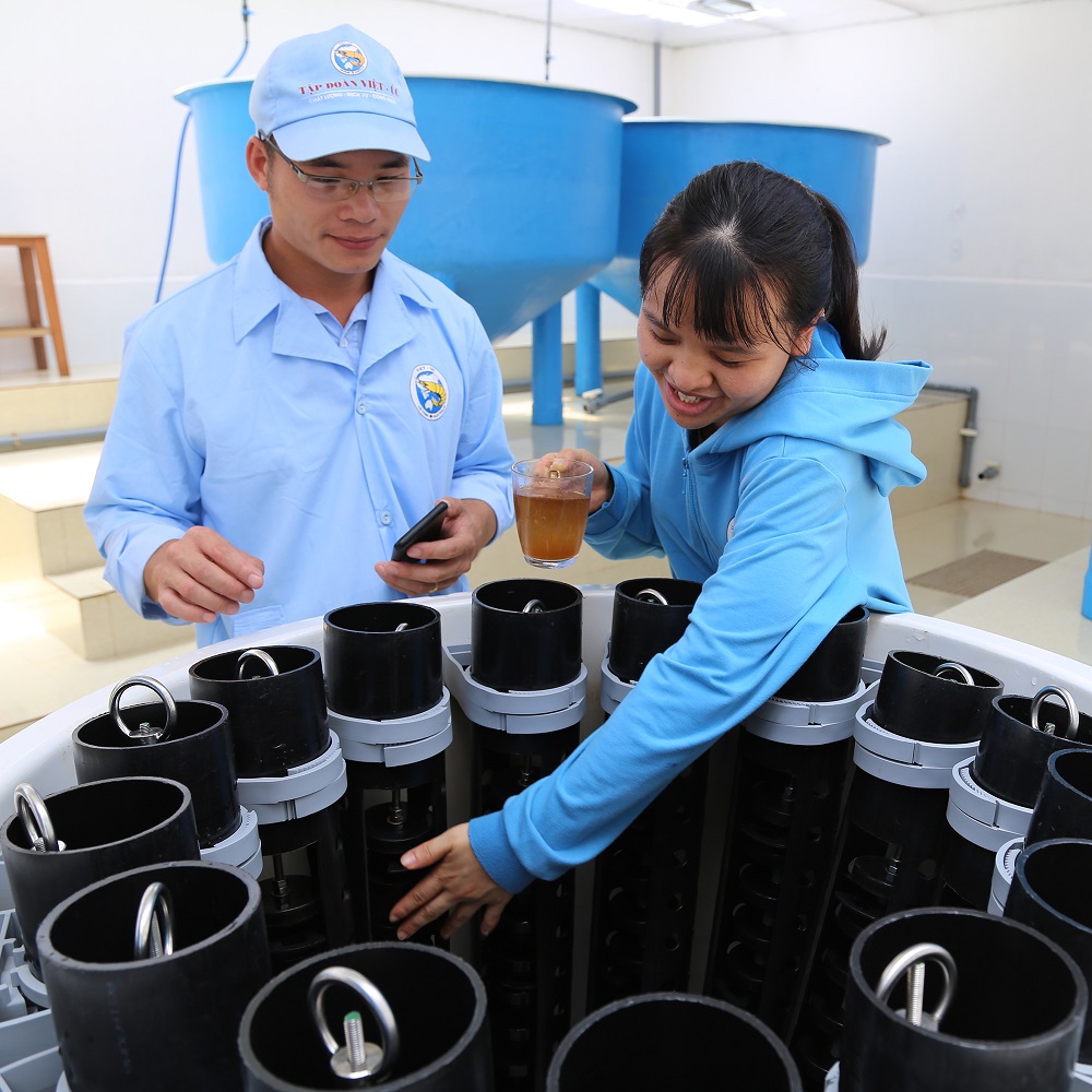 Ứng dụng KHCN trong sản xuất tôm giống ở Tập đoàn Việt - Úc.  Ảnh: Thái Cảnh