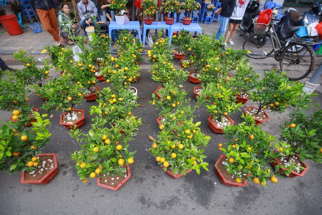 Chợ hoa chủ yếu phục vụ khách mua lẻ, đa số những loại cây, hoa được bày bán ở đây đều được tiểu thương chọn lựa kỹ trước khi mang tới bán.