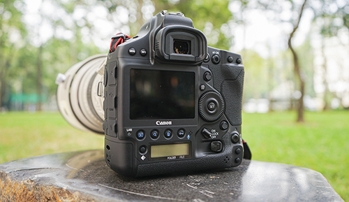 Canon EOS 1DX Mark III được nâng cấp mạnh mẽ so với phiên bản tiền nhiệm. Ảnh: Bảo Lâm.