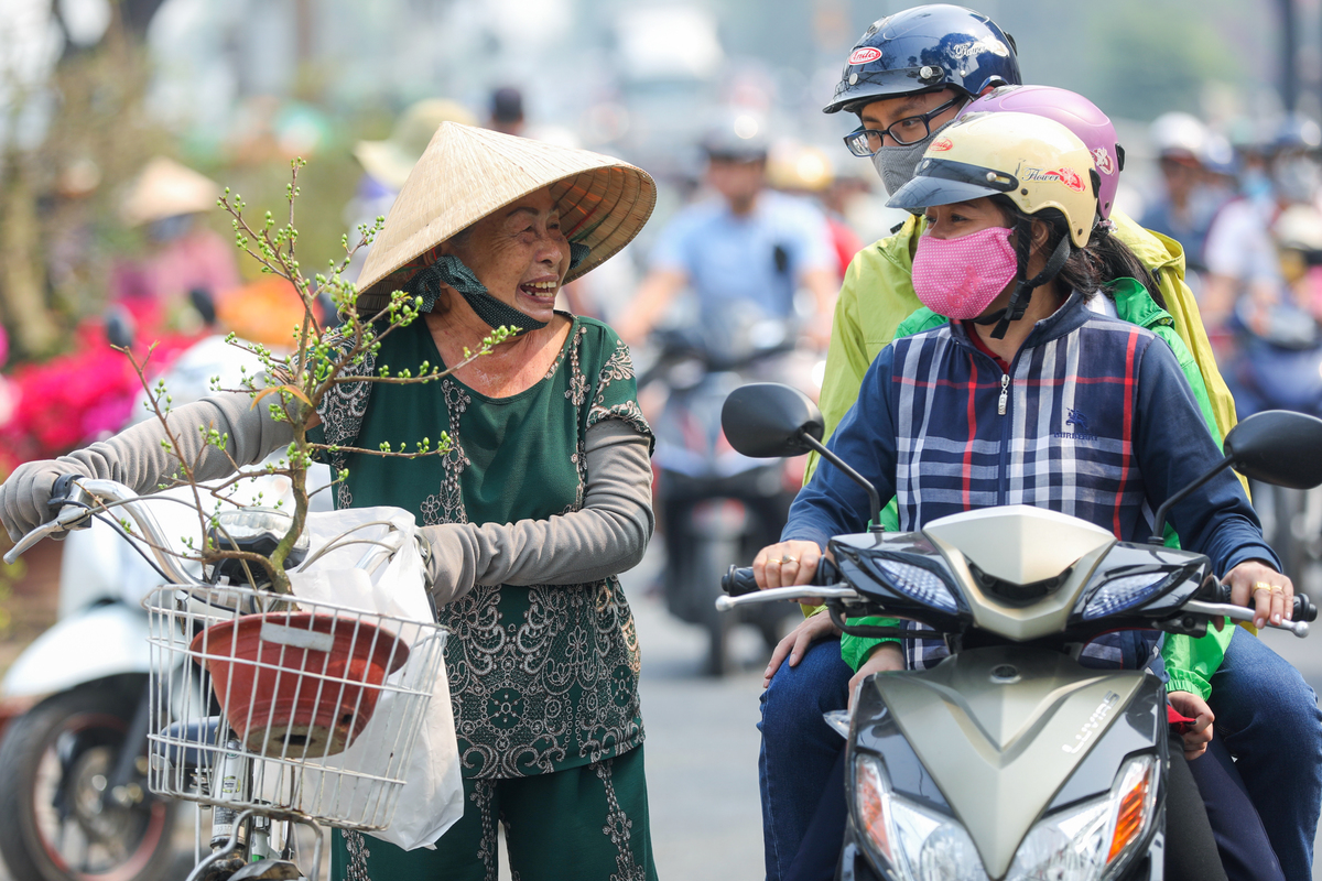 Bà Cúc (78 tuổi, ở quận 8) khoe với người đi đường cây mai vàng vừa mua ở bến Bình Đông với giá 250.000 đồng. 