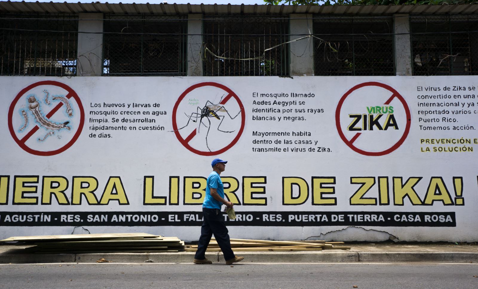Zika tự kiệt sức khi không còn ai để lây nhiễm. Ảnh: Getty Images