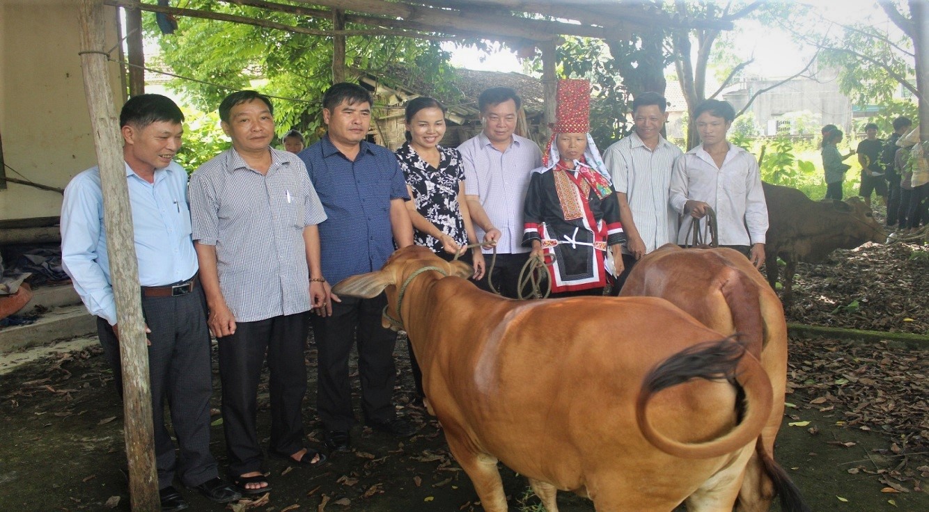 Mô hình tặng bò sinh sản của HND tỉnh đã giúp nhiều hộ dân thoát nghèo ( Trong ảnh: HND tỉnh Quảng Ninh trao tặng bò sinh sản cho các hộ nghèo, cận nghèo của xã Quảng Sơn, huyện Hải Hà, tháng 7 năm 2019. 