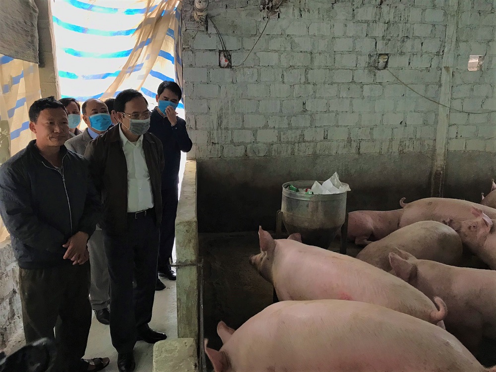 Đồng chí Đặng Huy Hậu kiểm tra công tác phòng chống dịch bệnh và tình hình tái đàn của các hộ chăn nuôi. 