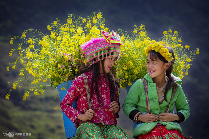 Hai bé gái người H’Mong trong mùa hoa cải vàng ở Phố Cáo.