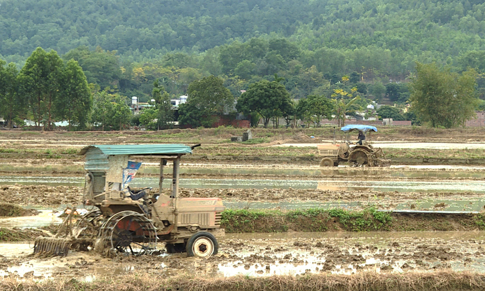 nông dân Thị xã Đông Triều đưa máy vào khâu cầy ải