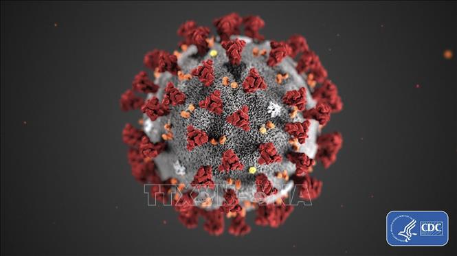 Hình ảnh do Trung tâm phòng ngừa và kiểm soát dịch bệnh Mỹ (CDC) cho thấy hình thái cấu tạo của virus corona chủng mới COVID-19 gây dịch viêm đường hô hấp cấp. Ảnh: AFP/TTXVN
