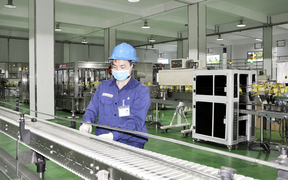 Tống Quang Minh, nhân viên vận hành đóng gói (Công ty TNHH Dầu thực vật Cái Lân) hệ thống băng tải tiết kiệm chi phí sản xuất