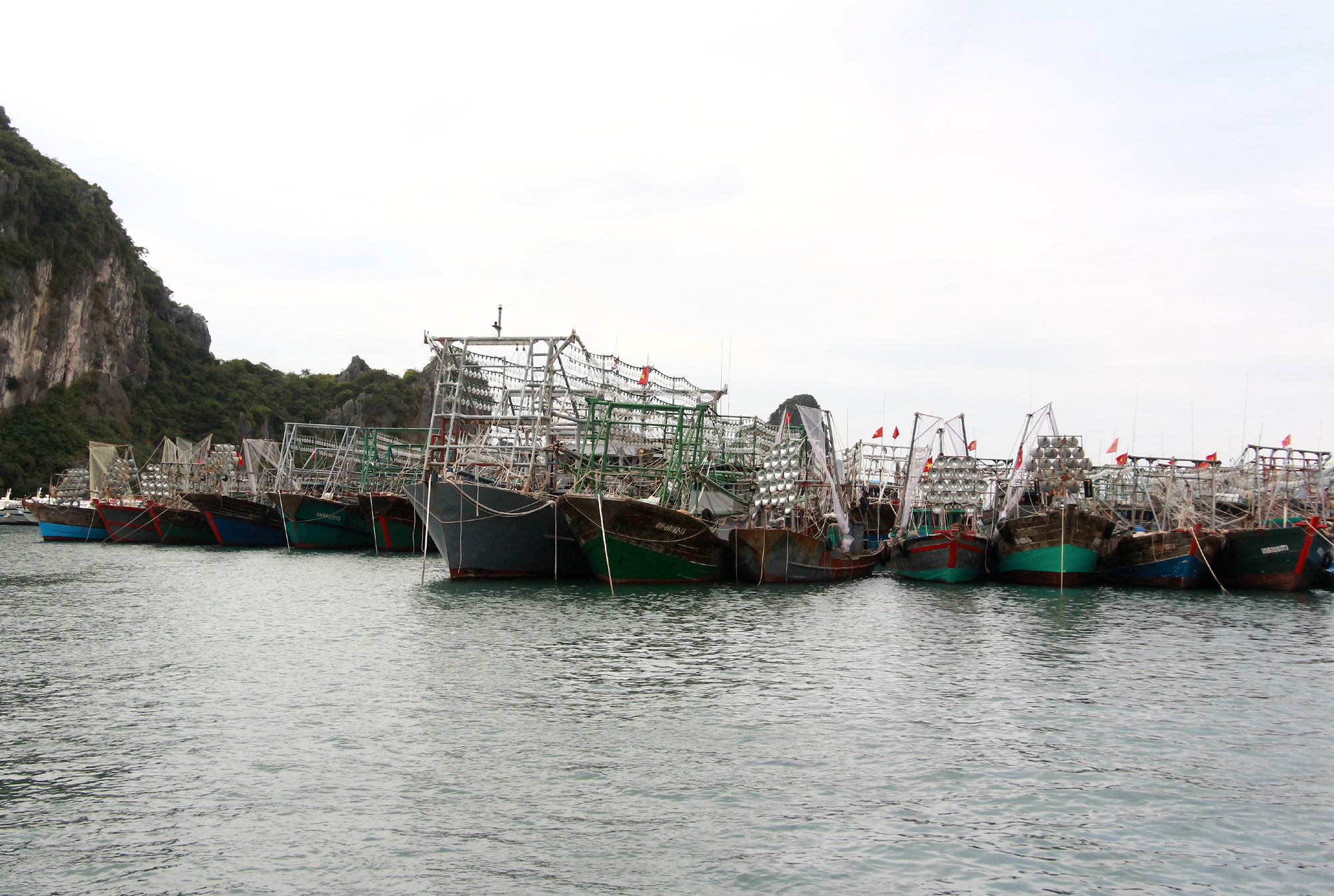 Đội tàu khai thác thủy sản xa bờ của huyện Vân Đồn đậu tại cảng Cái Rồng. Ảnh: Mạnh Trường