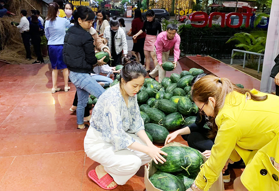 Người dân TP Hạ Long giải cứu nong sản cho nông dân Tây Nguyên (ảnh Thái Bình)