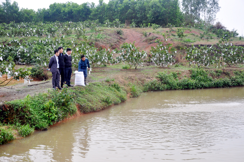 Cán bộ xã Quảng An nắm tình hình sản xuất, kinh doanh tại trang trại của anh Ty Văn Đông, thôn Tân Liên. Ảnh chụp ngày 12/2
