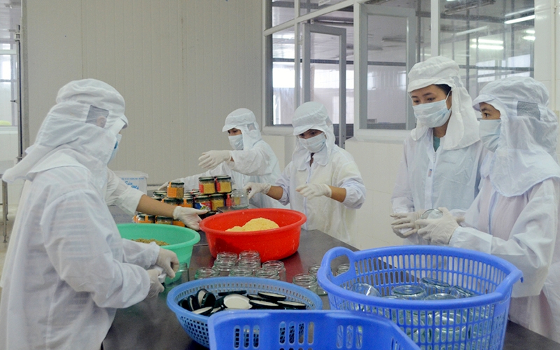 Công nhân Công ty TNHH Sản xuất và Thương mại thuỷ sản Quảng Ninh thực hiện quy trình đóng gói sản phẩm.