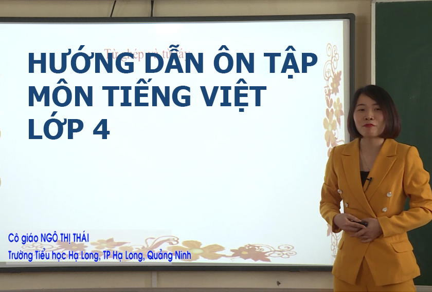 Hướng dẫn ôn tập môn Tiếng Việt lớp 4