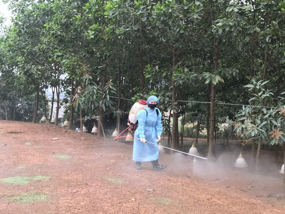 Cán bộ thú y xã Bình Khê, TX Đông Triều thực hiện phun tiêu độc, khử trùng xung quanh trang trại lợn của người dân. 