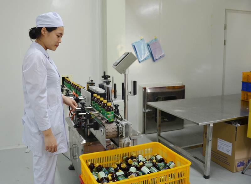 Sản phẩm dược liệu từ nhân trần, ba kích trồng tại Ba Chẽ được Công ty CP Dược vật tư y tế Quảng Ninh chế biến, sản xuất. (Ảnh: Nguyễn Hoa)