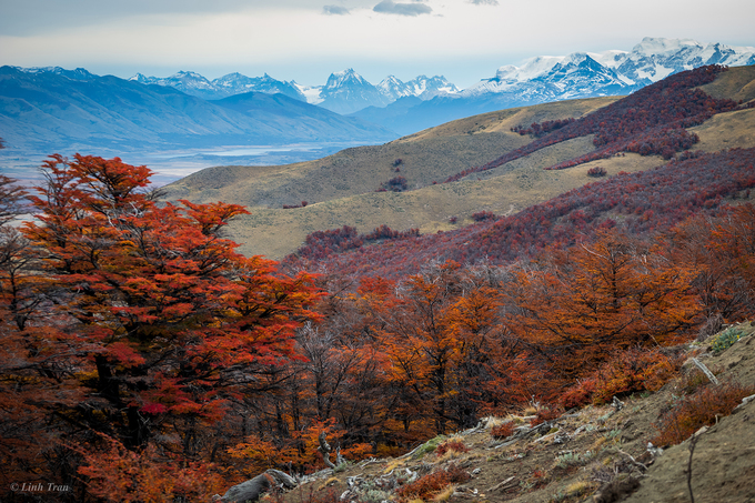 Tới Ushuaia vào mùa thu của Nam Bán cầu, bạn sẽ có những trải nghiệm mà hiếm có chuyến đi nào mang lại được. Mùa thu, những cánh rừng dẻ gai chuyển màu lá theo từng cao độ, mang lại cho Tierra del Fuego tấm áo không thể ấn tượng hơn. Bức tranh xanh, vàng, cam, đỏ tím tựa lên nền đá, soi bóng trên những hồ nước trong vắt và nổi bật trên những đỉnh núi phủ băng trắng lóa vươn cao trên bầu trời.