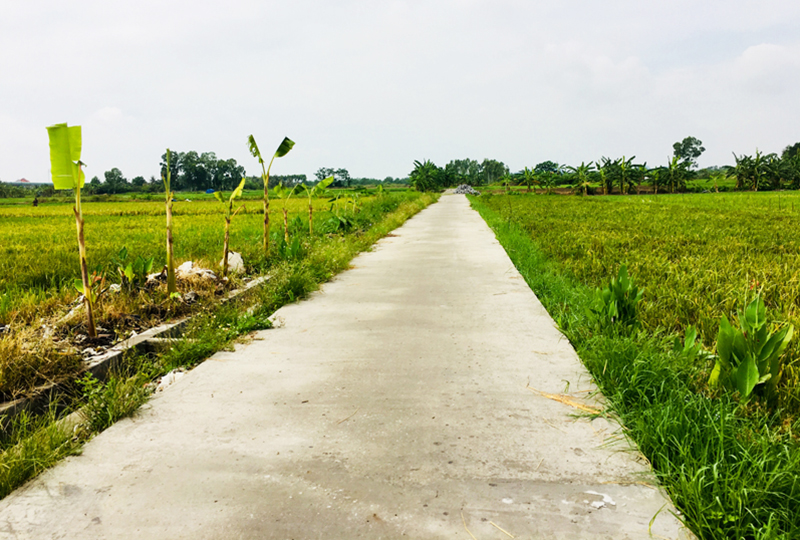 Tuyến đường nội đồng khu 11, phường Quang Trung được hoàn thành từ NQ 287