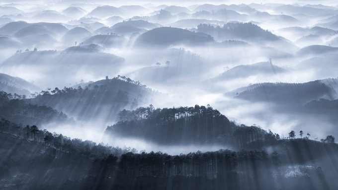 Nhiếp ảnh gia Cao Kỳ Nhân chia sẻ, anh đã đi qua một trong những con đường khó khăn nhất ở tỉnh Lâm Đồng để chụp được bức ảnh này. “Tôi đã tới đây rất nhiều lần nhưng chưa từng thấy mây bao phủ núi non dày như thế này. Cảm giác lúc đó thật sự rất tuyệt vời”, anh chia sẻ về tác phẩm “Sương sớm”.
