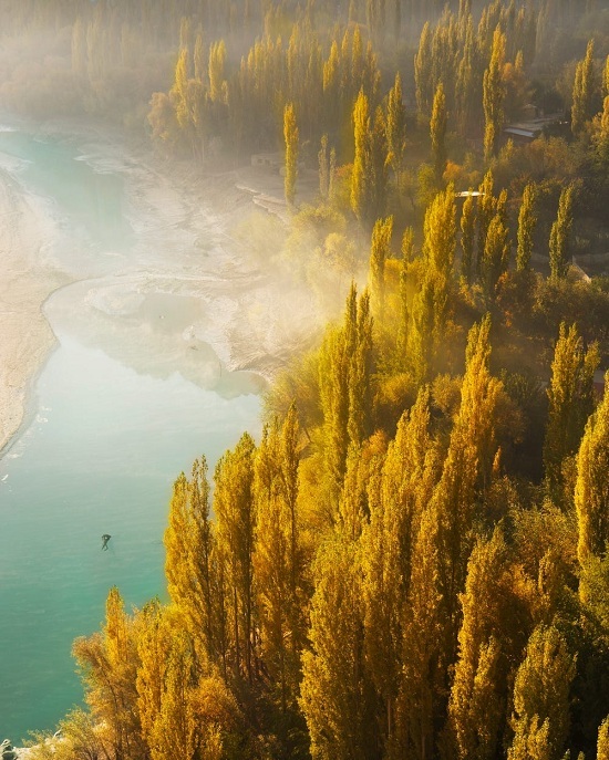 Aliawais là tác giả chụp “Thiên nhiên rực rỡ”. Ảnh thể hiện khung cảnh nhìn từ trên cao xuống một miền rừng lá vàng xinh đẹp như cảnh phim Disney ở Lahore, Pakistan.