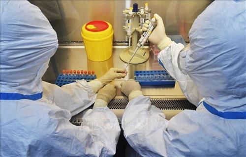 Xét nghiệm các mẫu bệnh phẩm tại phòng thí nghiệm ở tỉnh Tứ Xuyên, Trung Quốc, ngày 15/2/2020. Ảnh: THX/TTXVN