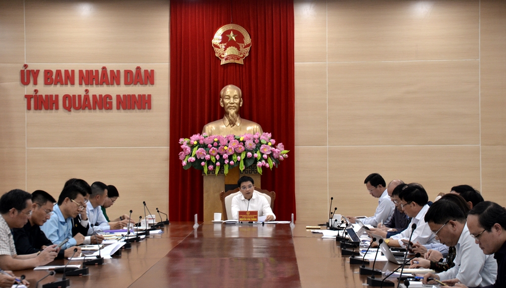 Đồng chí Nguyễn Văn Thắng, Phó Bí thư Tỉnh ủy, Chủ tịch UBND tỉnh chỉ đạo ý kiến tại cuộc họp.
