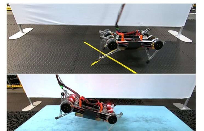 Robot Rainbow Dash chỉ cần vài giờ để học cách lùi và tiến, rẽ trái và rẽ phải Ảnh: arXiv