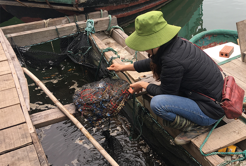 Mô hình nuôi cá song của gia đình chị Trần Thị Bích, thôn 4, xã Cẩm Hải cho thu nhập ổn định
