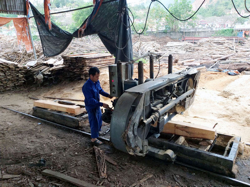 Xưởng chế biến gỗ của Công ty TNHH MTV Lâm nghiệp Vân Đồn góp phần đáp ứng tốt nhu cầu tiêu thụ lâm sản trên địa bàn