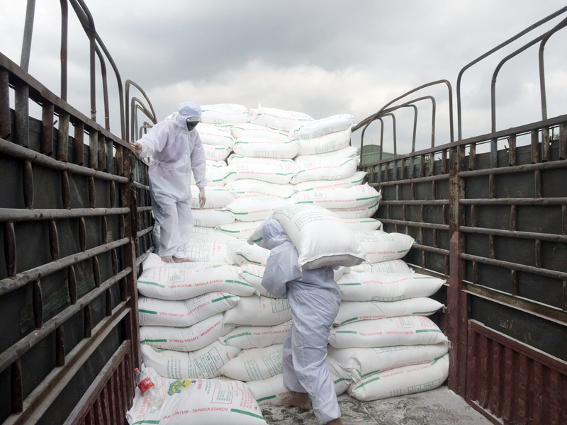 Bốc xếp hàng bột sắn xuất khẩu tại Cảng ICD Thành Đạt. (Ảnh: Hữu Việt)