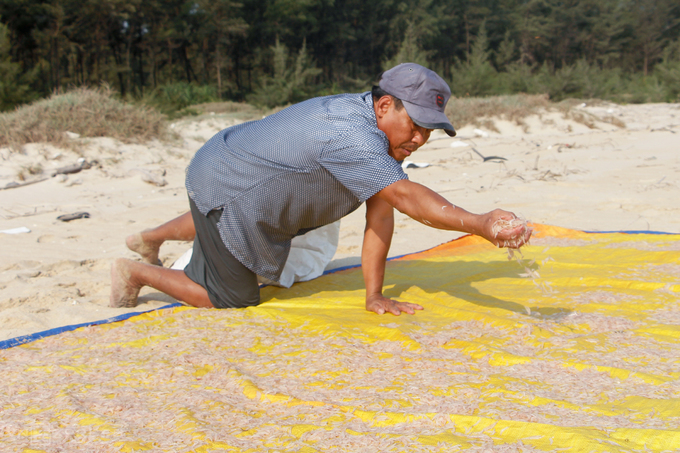 Tận dụng trời nắng gắt, ông Võ Tô (60 tuổi, xã Hải Dương) trải tấm bạt ngay trên bãi biển để phơi ruốc vừa đánh bắt được.