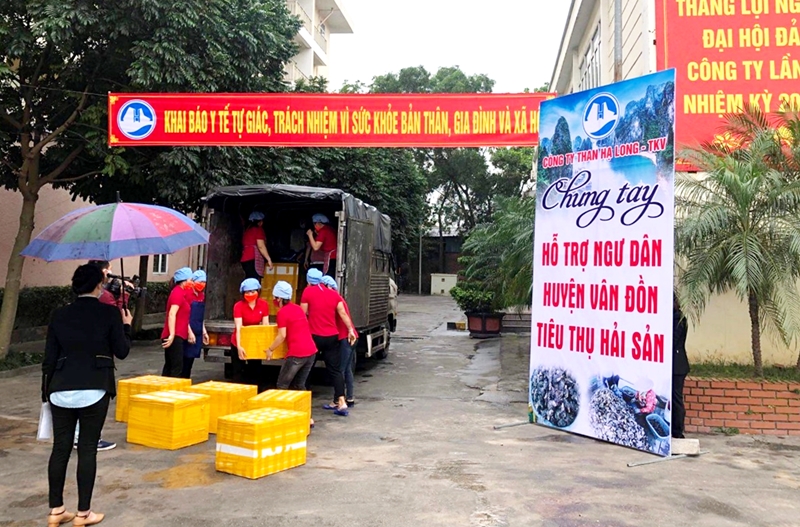 Công ty Than Hạ Long - TKV hỗ trợ ngư dân Vân Đồn tiêu thụ ngao, hàu.