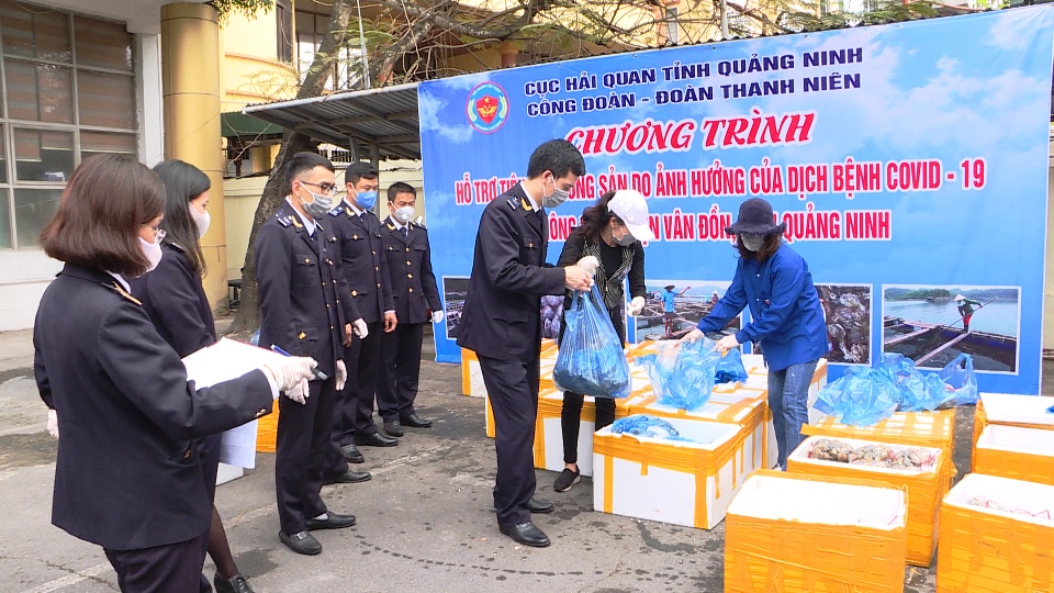Cục Hải Quan Quảng Ninh tiêu thụ hơn 3,5 tấn nhuyễn thể, hỗ trợ người dân. (Ảnh: Hải Hà)