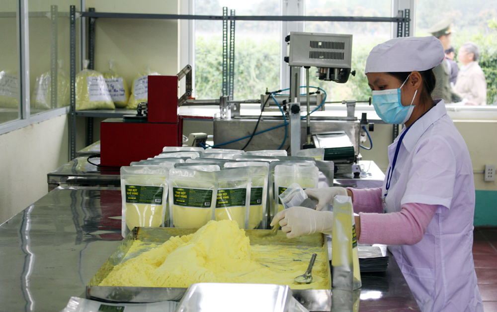Xưởng sơ, chế biến dược liệu của HTX Nông dược xanh Tinh Hoa, TP Hạ Long.