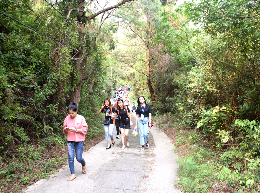 Nhiều du khách thích đi bộ để đến ngọn đèn biển để được hòa mình với những cánh rừng nhiên và chụp những bức ảnh dọc đường đi