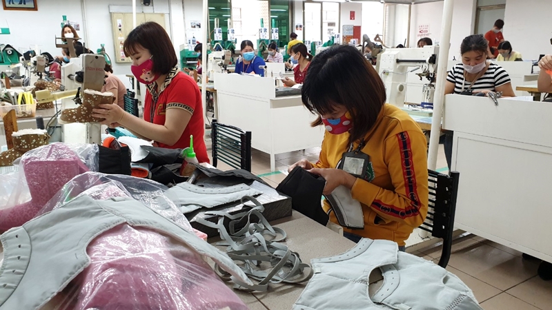 Chi nhánh Công ty TNHH Sao Vàng tại Quảng Ninh là một trong những doanh nghiệp lớn với khoảng hơn 5.000 lao động.