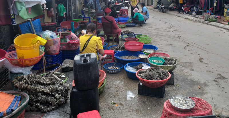  Sản phẩm thuỷ sản tiêu thụ ở chợ Cái Rồng (Vân Đồn) cũng rất ế ẩm. 