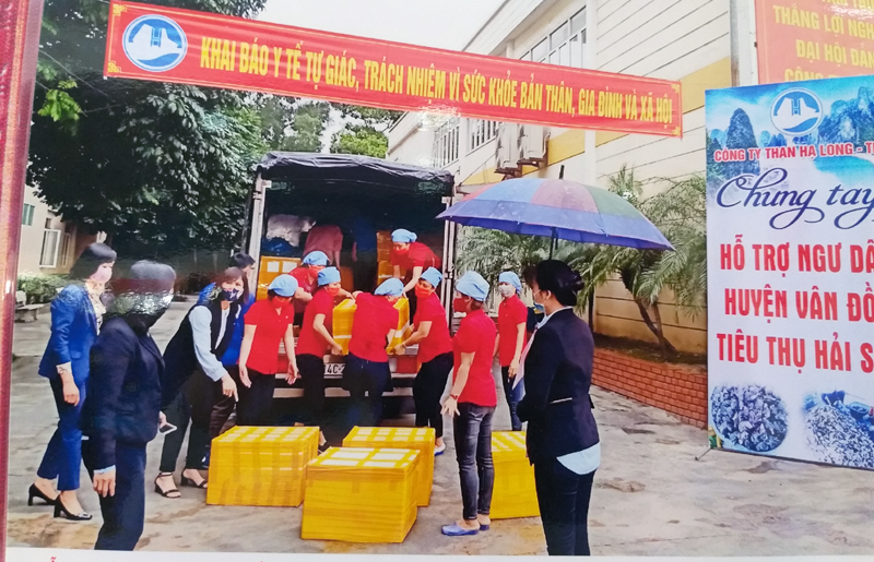 Công ty Than Hạ Long – TKV hỗ trợ tiêu thụ 9 tấn hàu, ngao cho huyện Vân Đồn. Ảnh chụp ngày 14/3