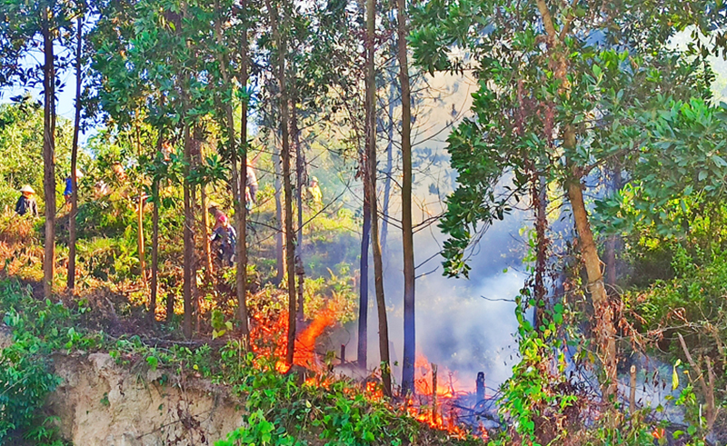 Diễn tập dập lửa rừng tại phường Vàng Danh, lấy tình huống giả định là cháy do người dân đốt thực bì