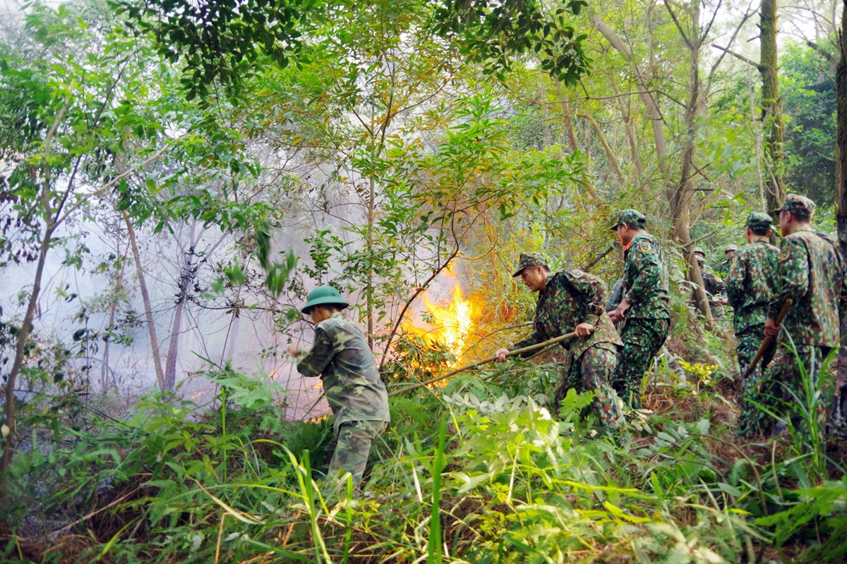 LLVT tham gia chữa cháy rừng ở khu đồi Hùng Thắng, khu 1, phường Hùng Thắng, TP Hạ Long (tháng 10/2019) mà nguyên nhân cháy được xác định do người dân đốt thực bì. Ảnh Trúc Linh