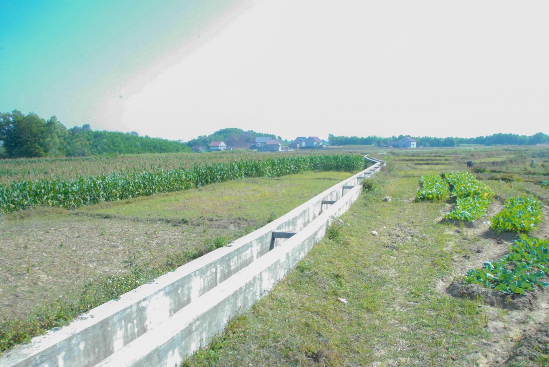 Hầu hết các đồng ruộng của xã Quảng Phong đều đã có tuyến mương dẫn nước vào tận nơi sản xuất.