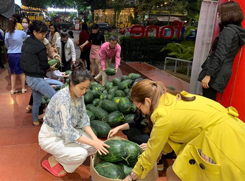 Mobifone Quảng Ninh hỗ trợ tiêu thụ dưa hấu cho bà con nông dân (Ảnh chụp ngày 13/2)