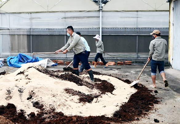 Cán bộ Chi cục Trồng trọt và Bảo vệ thực vật (Sở NN&PTNT) thử nghiệm ủ phân hữu cơ theo công nghệ Nhật Bản