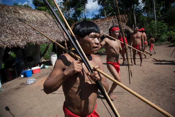 Thổ dân Yanomami trong rừng Amazon - Ảnh: BRITANNICA
