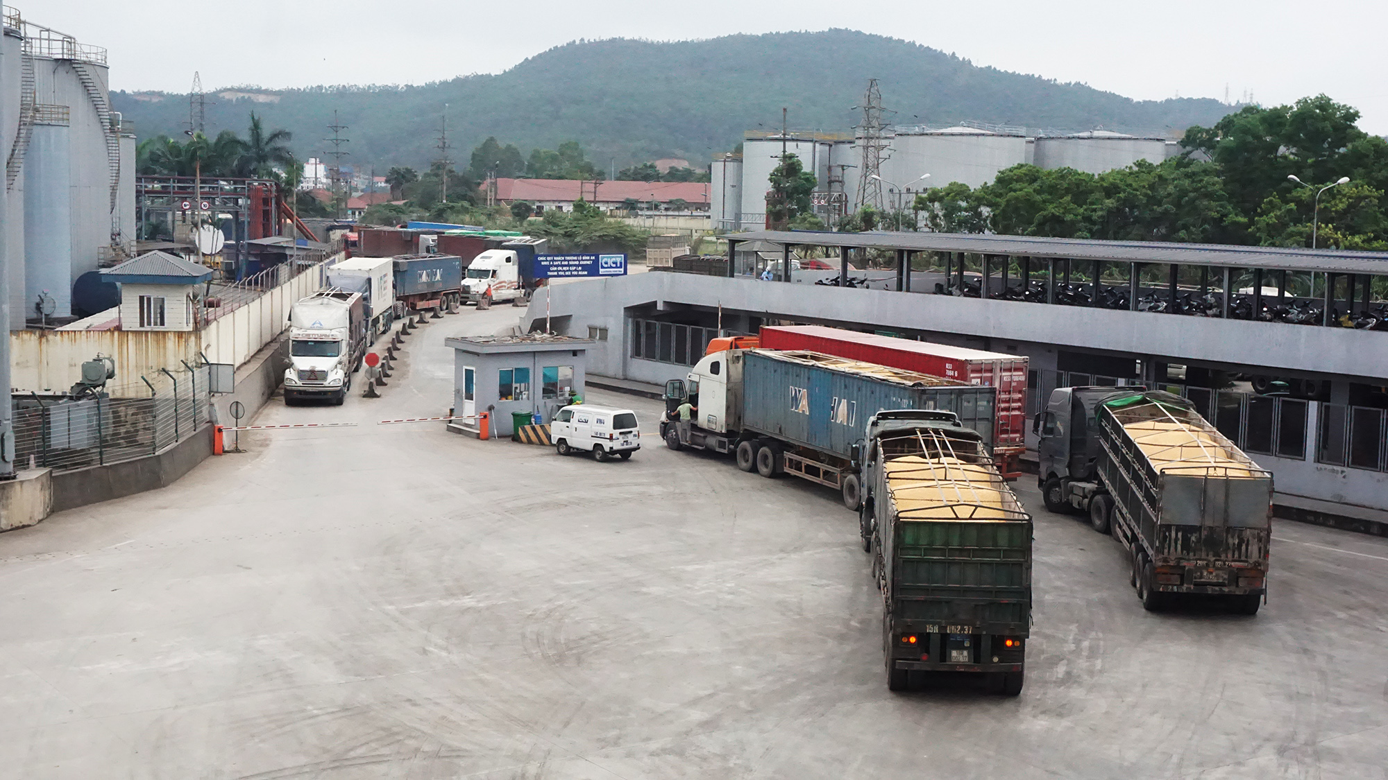Xe chở hàng nông sản ngô ra vào tại Cảng CICT.