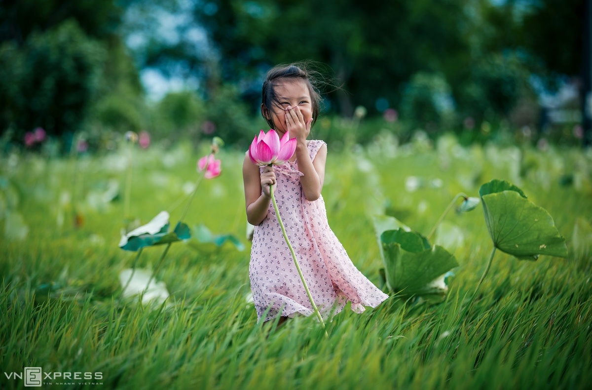 Bé gái tươi cười bên hoa sen trên thửa ruộng trồng lúa – sen.
