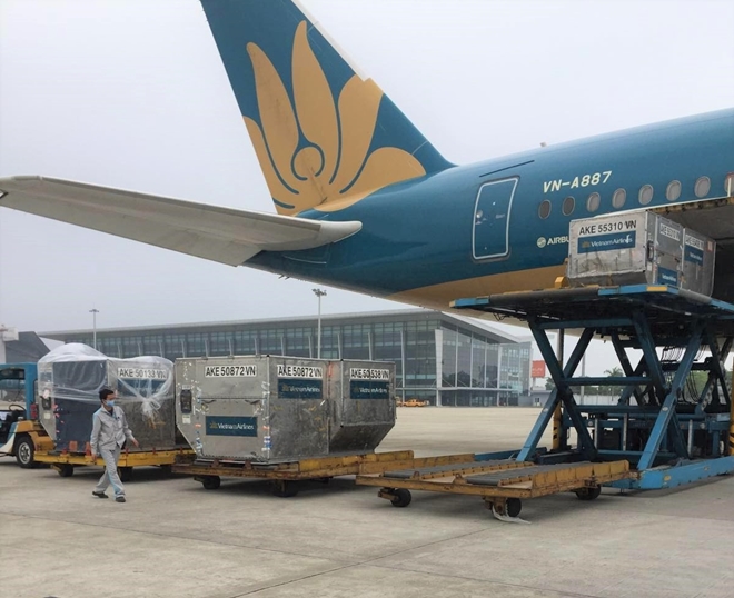 Vietnam Airlines vừa thực hiện vận chuyển miễn phí hàng hoá hỗ trợ công tác phòng, chống dịch của Ban Thường trực Ủy ban Trung ương MTTQ Việt Nam từ TP Hồ Chí Minh ra Hà Nội.