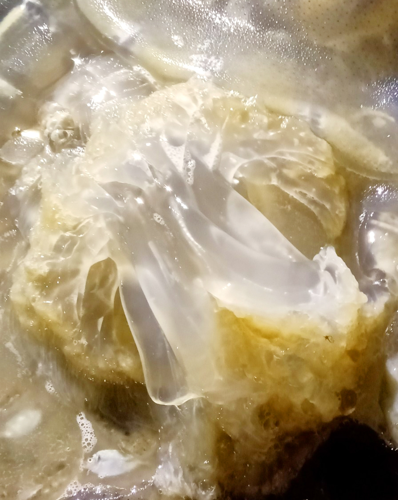  水母腿和香脆可口的水母帽子用作水母沙拉