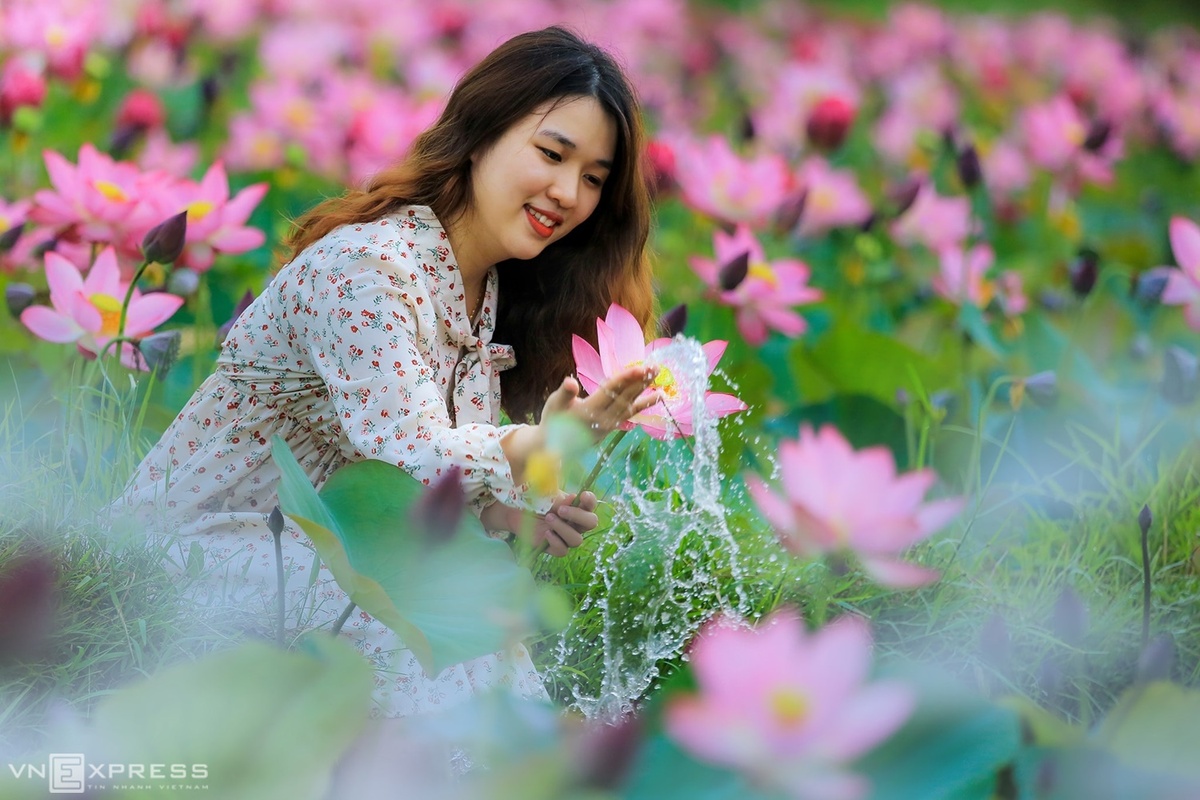 “Những cánh sen ửng hồng trên thôn quê như đôi má của người thiếu nữ”, tác giả mô tả.